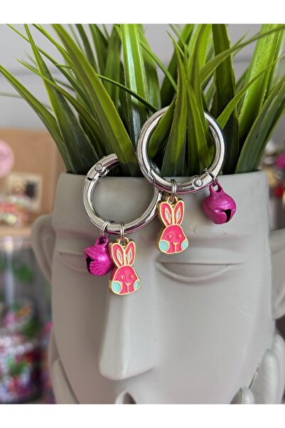 Winla Paws Evcil Hayvan Kedi Köpek Tasma Ucu Süs Renkli Sevimli Charm