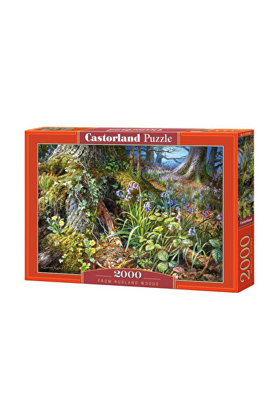 Castorland Puzzle 2000 de piese În pădure 200764