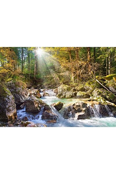 Castorland Пъзел 2000 части Слънчев горски поток 200382