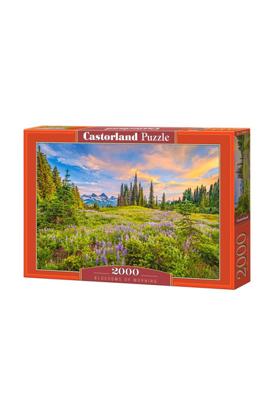 Castorland Пъзел 2000 части Цветове на утрото 200863