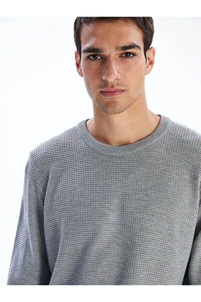 LC Waikiki LCW Vision Велосипедна комір картата чоловіча трикотажна кофта