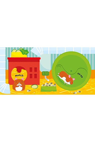 Usborne Slide and See Pets