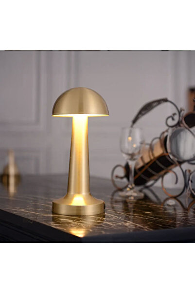 Erzi Dokunmatik Şarjlı 3 Kademeli Işıklı Gece Lambası USB Girişli Metal Manta...