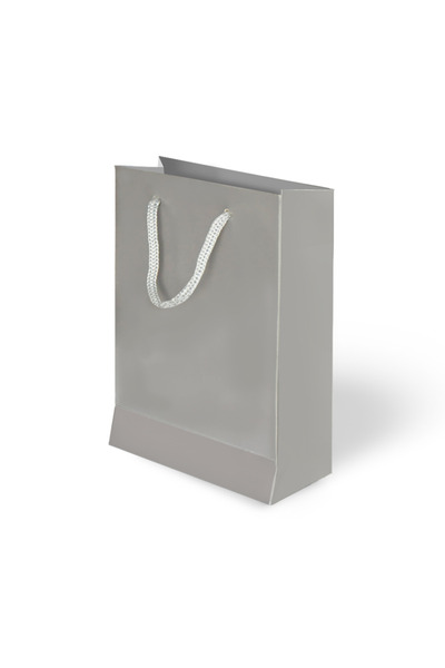 ALPJOY 20X25X8 Cardboard Bag Silver 24 Pieces