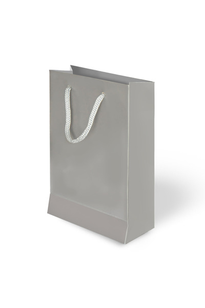 Generic Brand 26X40X8 Cardboard Bag Silver 10-Pack