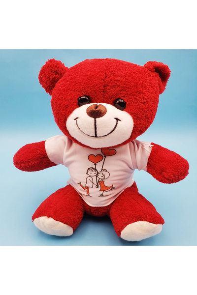 Skygo Red Teddy Bear with T-Shirt