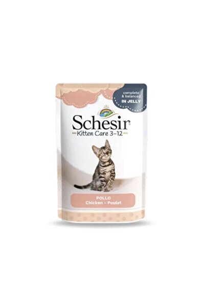 Schesir شيزر طعام رطب للقطط الصغيرة بنكهة الدجاج في الجيلي 85غ