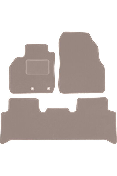 Other Covorașe bej din catifea pentru: Renault Scenic II monovolum (2003-2009)