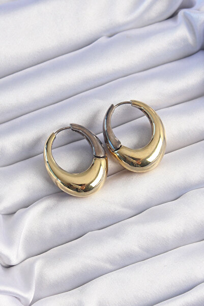 Skygo Brass Gold Silver Colored Oval Curved Earrings - Tj-Bkp9221