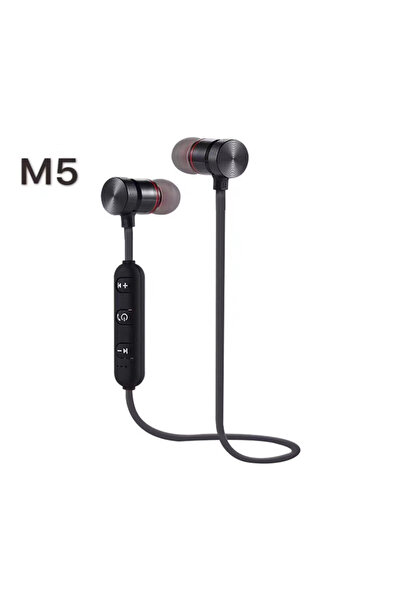 Zen Store M5 sports Bluetooth 5.0 Wireless Earbuds Magnetic In-Ear Headset with Mic
