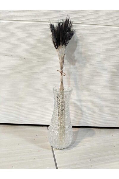 ÇINARASYADAHOME Buchet de iarbă de bumbac uscată naturală (lagurus) de culoar...