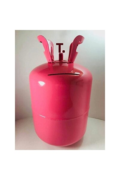 Carpe Diem Hobbies Pink Patience Piggy Bank