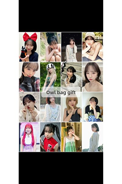 OWLBAG COMPANY OWL BAG Jo yuri nou set de 16 fotocărți cu design sezonier