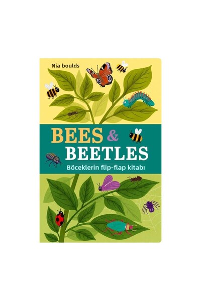 LITTLE TIGER النحل والخنافس - كتاب حشرات قابل للطي