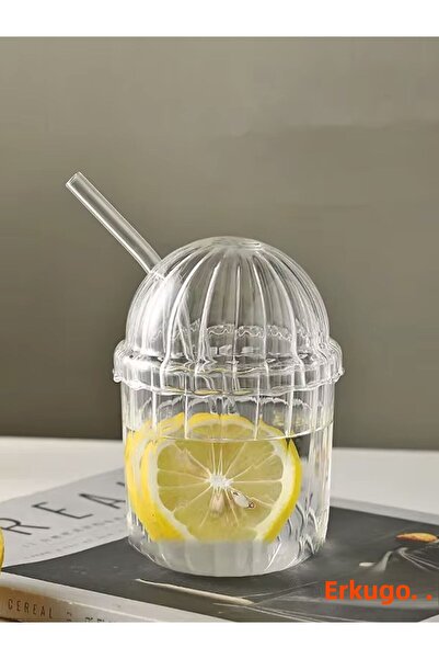 ERKUGO Borosilicate Presentation Cup - Glass Lid, Straw, Heat Resistant, Coffee Cup (450 ml) Mocha