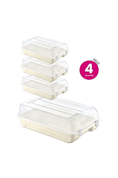 Smartware Set of 4 Women's Latte Shoe Boxes