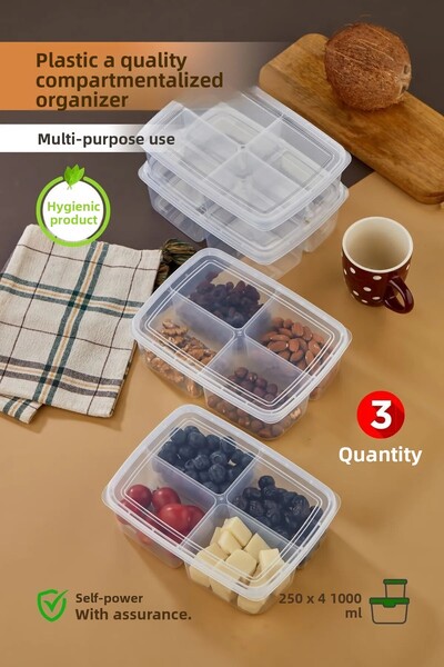 safestore 3 Pieces 4 Compartments 1000ml Vegetable Chicken Meat Container Refrigerator Organizer Storage Box