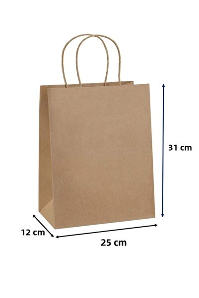 Kraft Ofis حقيبة بمقبض ملتوي 25 سم × 12 سم × 31 سم (25 قطعة) (حقيبة ورقية)