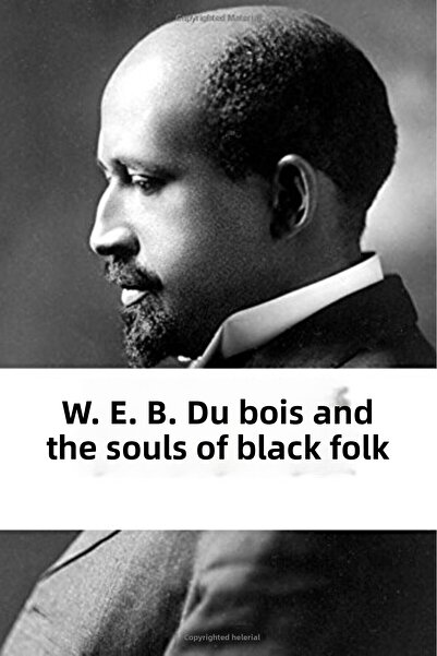Ingram Internatıonal Inc W E B Du Bois And The Souls Of Black Folk