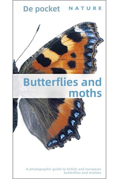 Penguin Random House الفراشات والعثات RSPB Pocket Nature