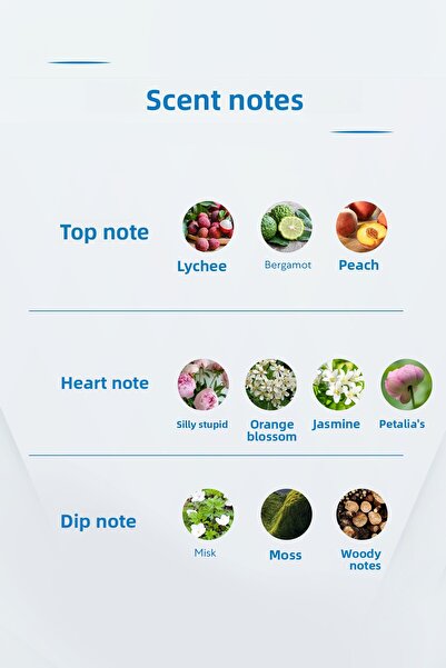 Bargello عطر يونيسكس رقم 554 سعة 50 مل من نوع EDP