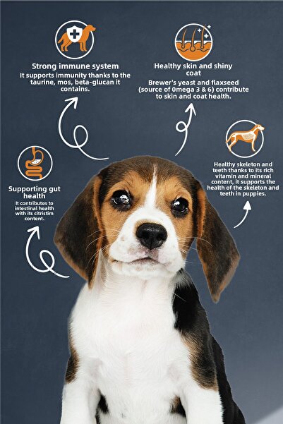Reflex Puppy Food with Lamb and Rice 15 kg