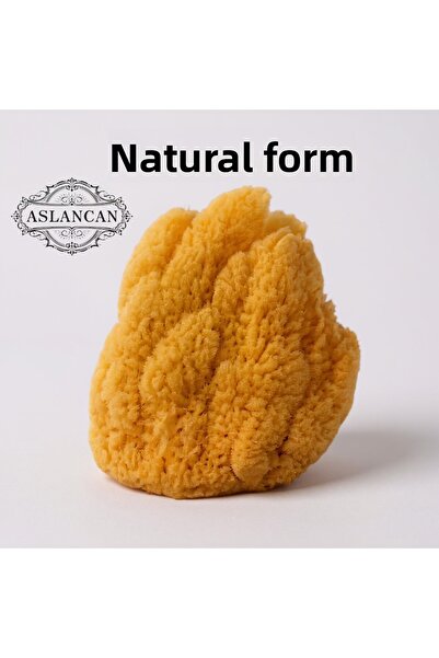 ASLANCAN إسفنجة بحرية طبيعية 100% 7-12 سم |   إسفنجة ناعمة لحمام الأطفال حديث...