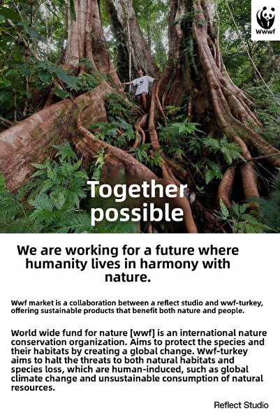 WWF Market Ecru Panda Patterned Socks