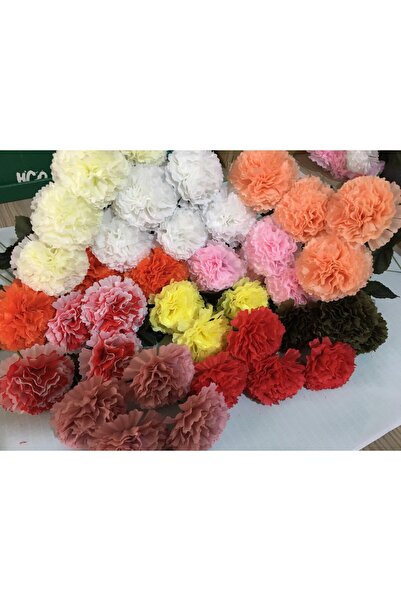 çiçek mariya Yapay Çiçek 5 Adet Dal Çiçeğ KARANFİL #karanfıl -kasımpatı- -şakayık