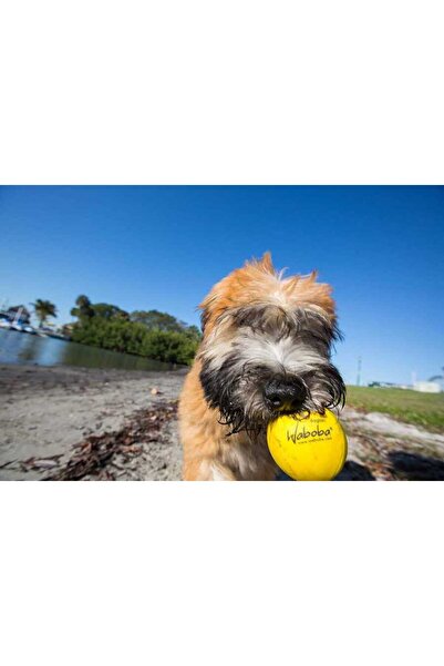Waboba Παιχνίδι για σκύλους Fetch Water Bouncing Ball 105C06