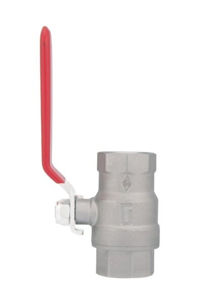 Pakkens 1.1/4'' Küresel Vana Dişi / Dişi