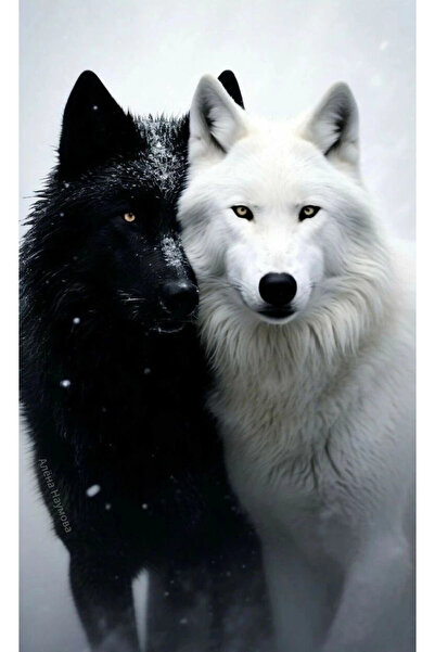 aydın garage Kurt Kapı Direk Kaplama Folyosu BASKILI STİCKER Sağ-Sol 2 Adet 2...