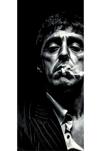 aydın garage Araba Kapı Direk Kaplama Folyosu Tony Montana