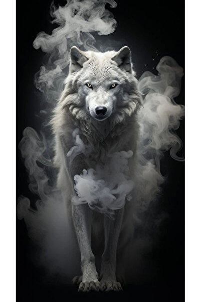 aydın garage Araba Kapı Direk Kaplama Folyosu beyaz kurt