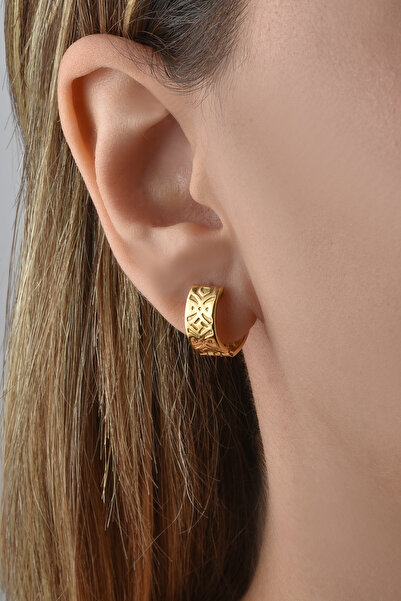 Nox Jewelry 14 Ayar Mikron Altın Kaplama Kalın Desenli Huggie Halka Gümüş Küpe - E00298