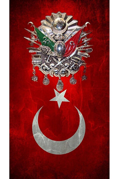 aydın garage Araba Kapı Direk Kaplama Folyosu türk bayrağı osmanlı tuğrası