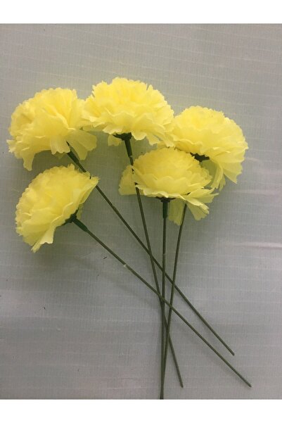 çiçek mariya 5 Adet KARANFİL DALLI Yapraksız # karanfil #krizantem #gül