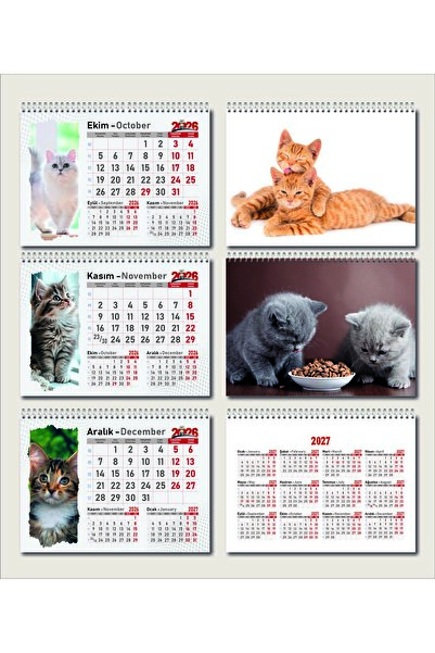 Orkide Matbaacilik Üçgen Masa Takvimi - Kedi Resimli Masa Takvimi Üçgen 13 Yaprak 2025