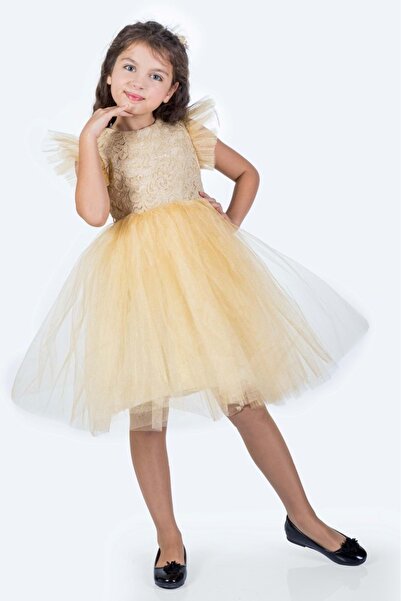 Mnk Baby&Kids Roza Dantel Tütü Kız Çocuk Abiye Elbise MNK0546 BEJ