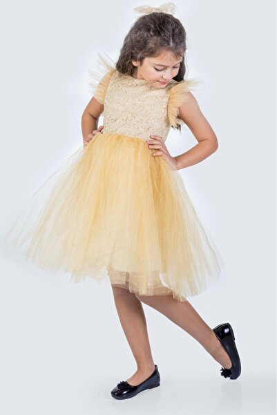 Mnk Baby&Kids Roza Dantel Tütü Kız Çocuk Abiye Elbise MNK0546 BEJ
