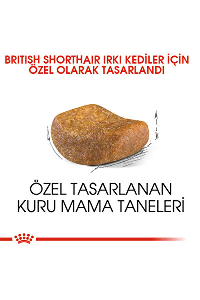 Royal Canin British Shorthair Adult Yetişkin Kedi Maması 10 Kg