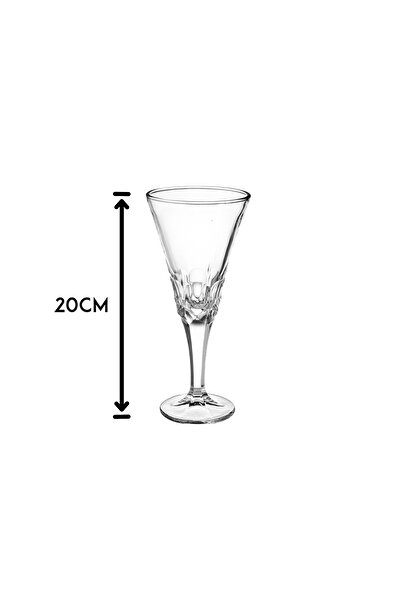 Dania Luxury Glass Drinking Glasses Set - 6 Pieces, Height 20 cm, Capacity 240 ml