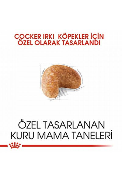 Royal Canin Cocker Spaniel Adult Yetişkin Köpek Maması 3 Kg