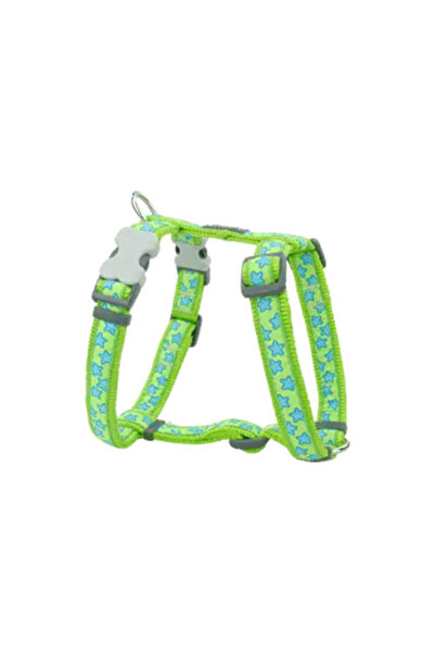 RedDingo Lime Üzerine Turkuaz Yıldızlı Köpek Göğüs Tasması Small 15 Mm