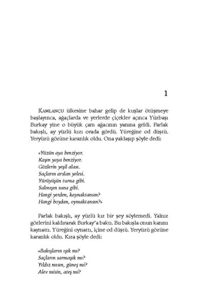 Ötüken Neşriyat Ruh Adam / Hüseyin Nihal Atsız / Yeni Karton Kapak