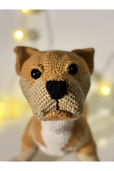 Handmade AMİGURUMİ KÖPEK - AMERİKAN BULLY POCKET - PİTBULL
