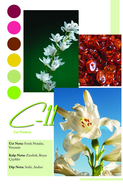 Frederic Patric C-11 50 ml Women's Perfume