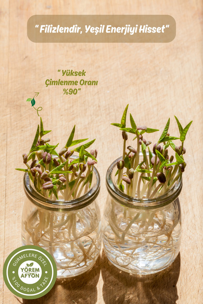 Yörem Afyon Gaziantep Yöresinden Doğanın Protein Hazinesi Maş Fasulyesi, Cin Börülcesi {Vigna Radiata} | 500gr.