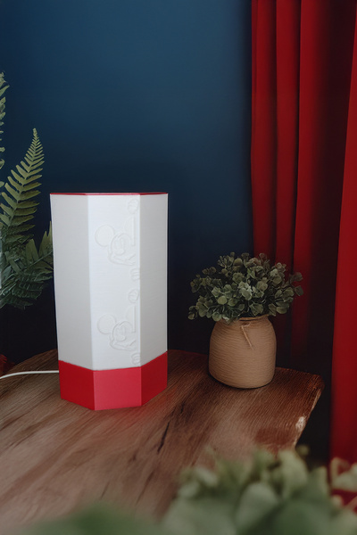 PAYİDAR MODEL Işıklı Dostlar – Cat & Mouse Embossed Led Night Light, 25 cm