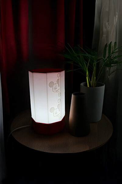 PAYİDAR MODEL Işıklı Dostlar – Cat & Mouse Embossed Led Night Light, 25 cm